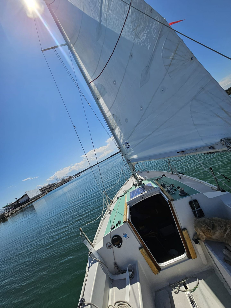 Pépite bateau à la location Gesti Boat_04.webp