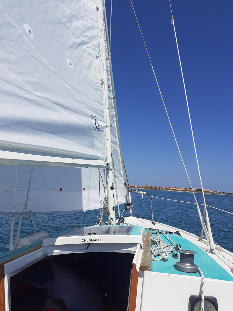 PEPITE avec ou sans skipper