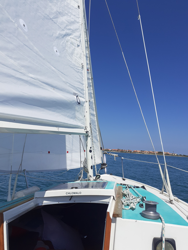 [3-PEPI] PEPITE avec ou sans skipper